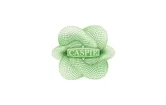 convenzione-caspie convenzione-caspie